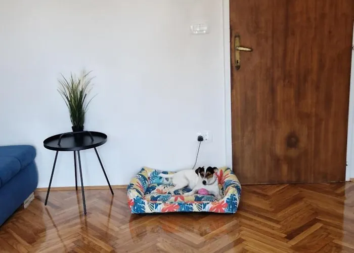 Lejlighed With E-cars Station